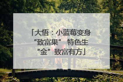 大悟：小蓝莓变身“致富果” 特色生“金”致富有方