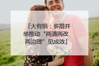 大有镇：多措并举推动“两清两改两治理”见成效