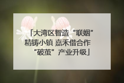 大湾区智造“联姻”精铸小镇 嘉禾借合作“破茧”产业升级