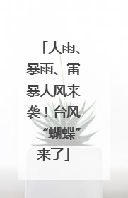 大雨、暴雨、雷暴大风来袭！台风“蝴蝶”来了