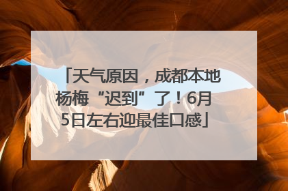 天气原因，成都本地杨梅“迟到”了！6月5日左右迎最佳口感