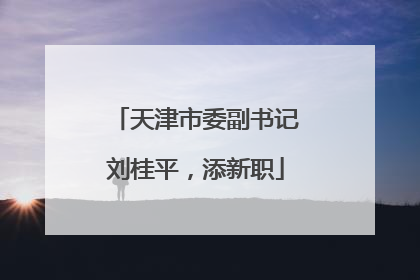 天津市委副书记刘桂平，添新职