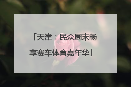 天津：民众周末畅享赛车体育嘉年华