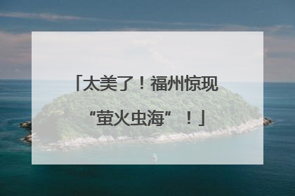 太美了！福州惊现“萤火虫海”！