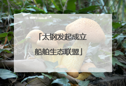 太钢发起成立船舶生态联盟