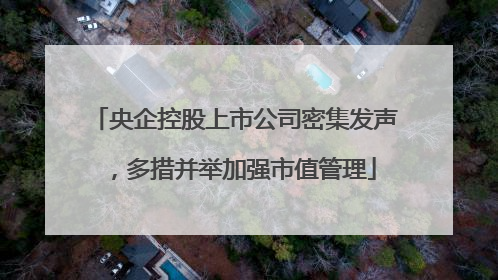 央企控股上市公司密集发声，多措并举加强市值管理