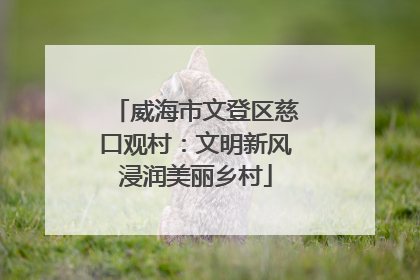 威海市文登区慈口观村：文明新风浸润美丽乡村