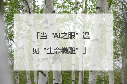 当“AI之眼”遇见“生命微雕”