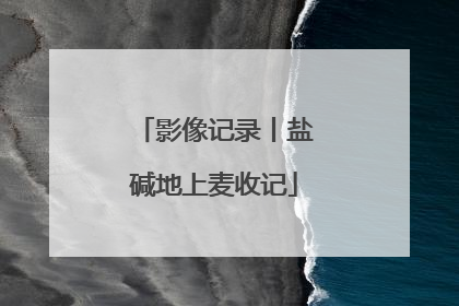 影像记录丨盐碱地上麦收记