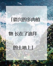 德兴的多肉植物 长在了迪拜的土地上