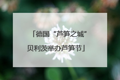 德国“芦笋之城”贝利茨举办芦笋节