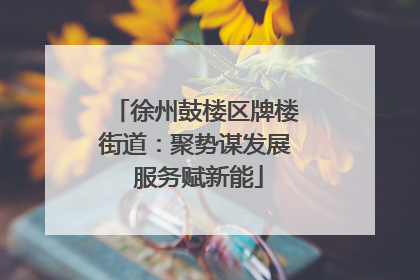 徐州鼓楼区牌楼街道：聚势谋发展 服务赋新能