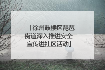徐州鼓楼区琵琶街道深入推进安全宣传进社区活动