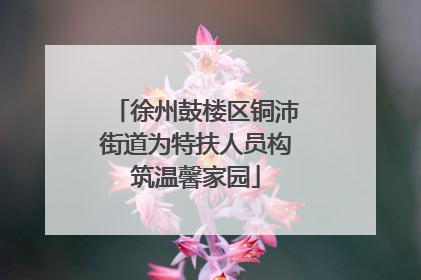 徐州鼓楼区铜沛街道为特扶人员构筑温馨家园