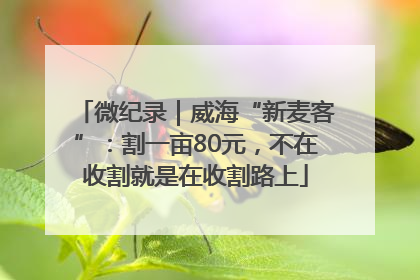 微纪录｜威海“新麦客”：割一亩80元，不在收割就是在收割路上