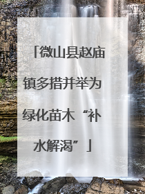 微山县赵庙镇多措并举为绿化苗木“补水解渴”