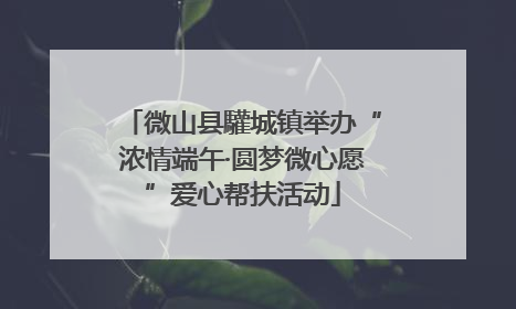 微山县驩城镇举办“浓情端午·圆梦微心愿”爱心帮扶活动