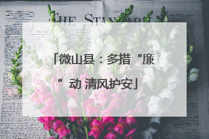 微山县：多措“廉”动 清风护安