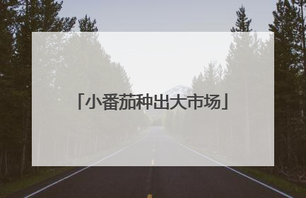 小番茄种出大市场