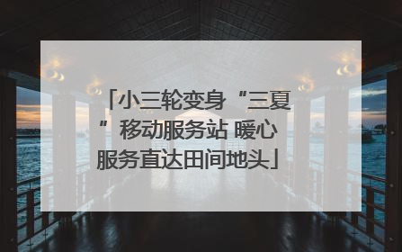 小三轮变身“三夏”移动服务站 暖心服务直达田间地头