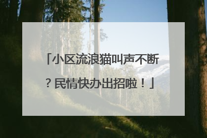 小区流浪猫叫声不断？民情快办出招啦！