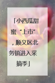 小西瓜甜蜜“上市”，顺义区北务镇进入采摘季