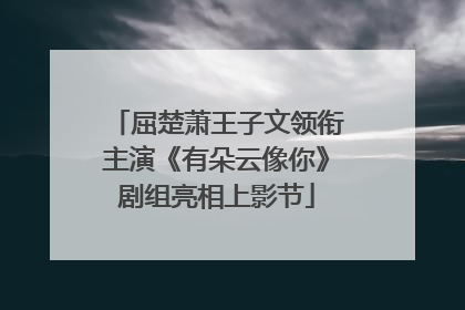 屈楚萧王子文领衔主演《有朵云像你》剧组亮相上影节
