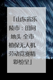 山东省乐陵市：田间地头 全市植保无人机劳动竞赛精彩纷呈