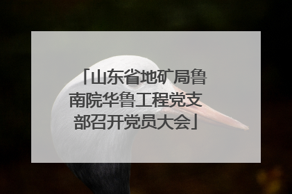 山东省地矿局鲁南院华鲁工程党支部召开党员大会