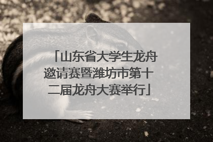 山东省大学生龙舟邀请赛暨潍坊市第十二届龙舟大赛举行