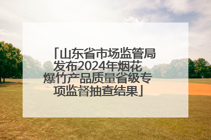 山东省市场监管局发布2024年烟花爆竹产品质量省级专项监督抽查结果