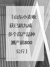 山东小麦收获已超九成 多个高产品种测产超800公斤