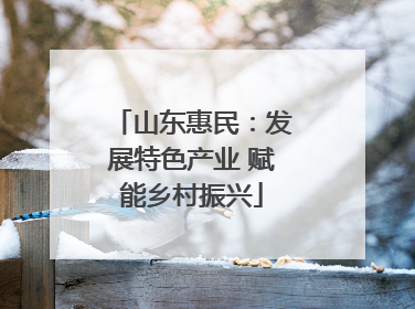山东惠民：发展特色产业 赋能乡村振兴