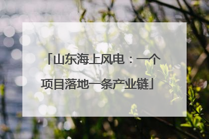 山东海上风电：一个项目落地一条产业链