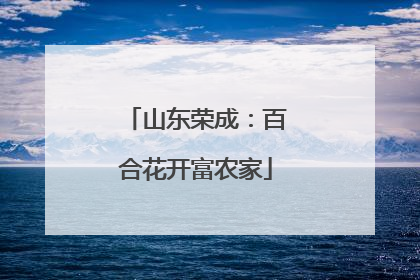 山东荣成：百合花开富农家