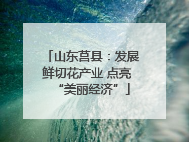山东莒县：发展鲜切花产业 点亮“美丽经济”