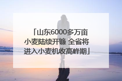 山东6000多万亩小麦陆续开镰 全省将进入小麦机收高峰期