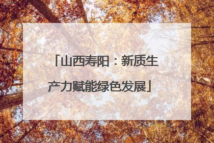 山西寿阳：新质生产力赋能绿色发展