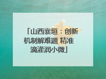 山西襄垣：创新机制解难题 精准滴灌润小微