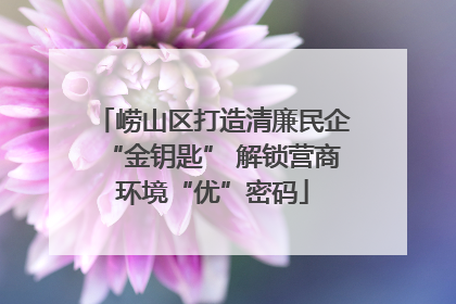 崂山区打造清廉民企“金钥匙” 解锁营商环境“优”密码