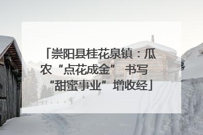 崇阳县桂花泉镇：瓜农“点花成金” 书写“甜蜜事业”增收经