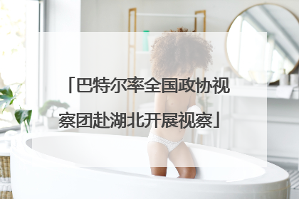 巴特尔率全国政协视察团赴湖北开展视察