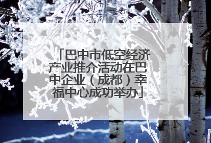 巴中市低空经济产业推介活动在巴中企业（成都）幸福中心成功举办