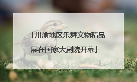 川渝地区乐舞文物精品展在国家大剧院开幕