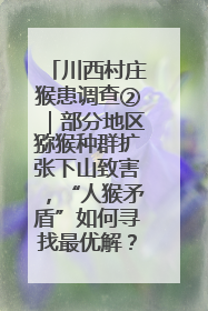 川西村庄猴患调查②｜部分地区猕猴种群扩张下山致害，“人猴矛盾”如何寻找最优解？