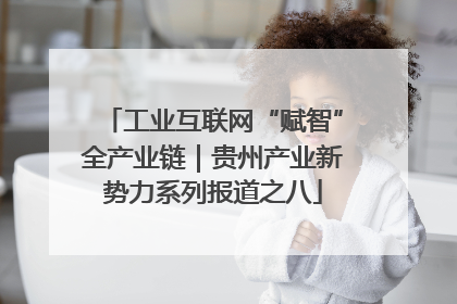工业互联网“赋智”全产业链｜贵州产业新势力系列报道之八