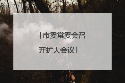 市委常委会召开扩大会议