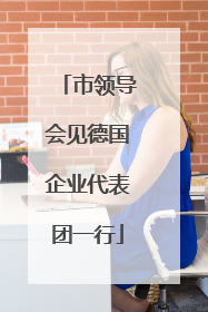 市领导会见德国企业代表团一行