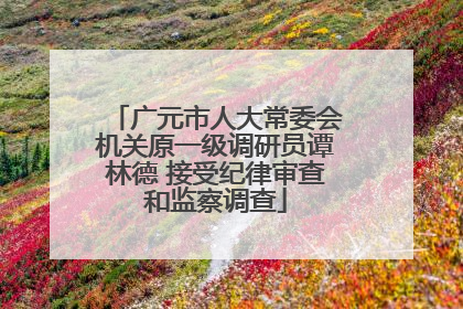 广元市人大常委会机关原一级调研员谭林德 接受纪律审查和监察调查
