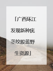 广西环江发现新种疣茎绞股蓝野生资源